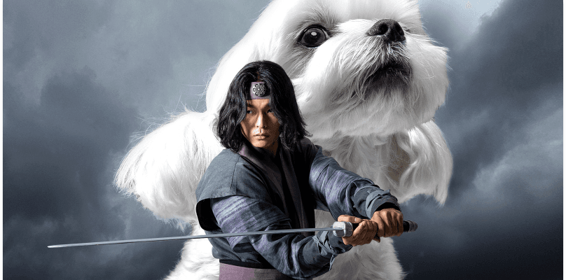 DAdongyeojido campaign